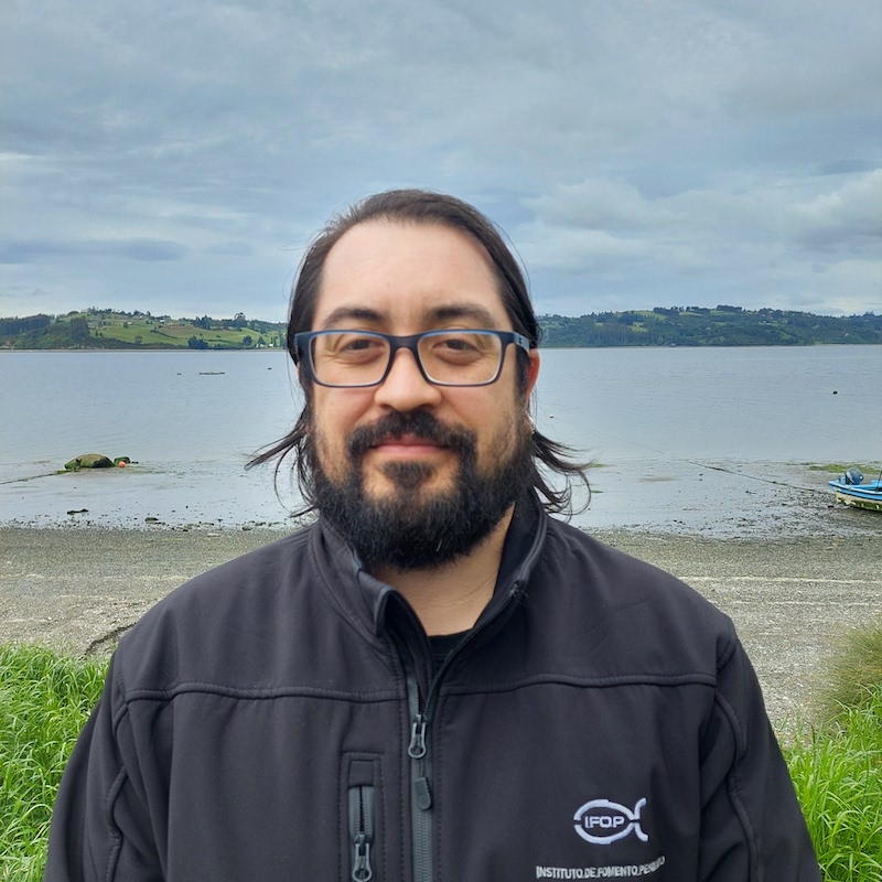 Sample avatar